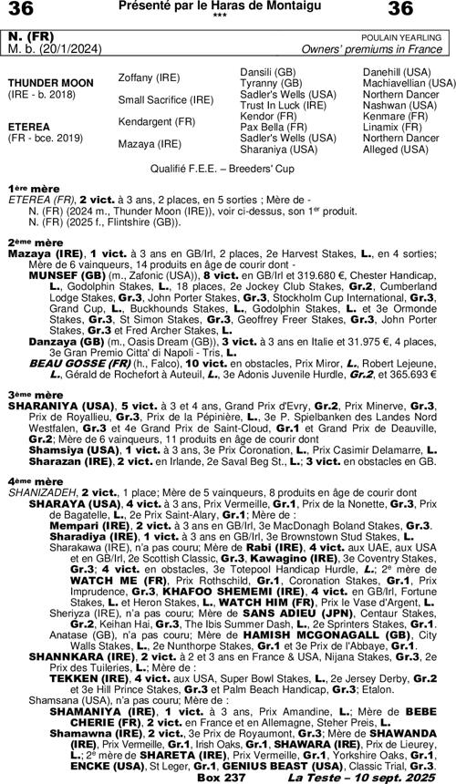 Miniature pedigree