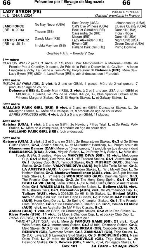 Miniature pedigree