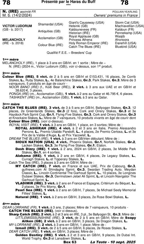 Miniature pedigree