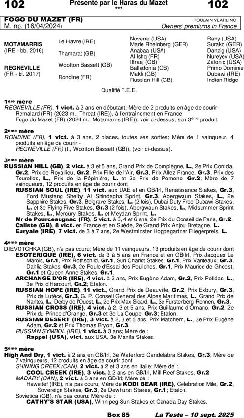 Miniature pedigree