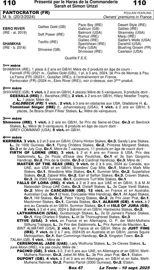 Miniature pedigree