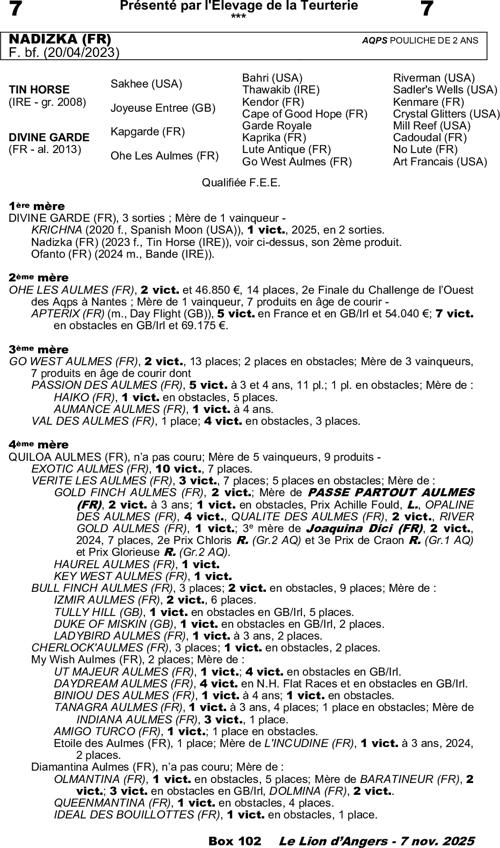 Miniature pedigree