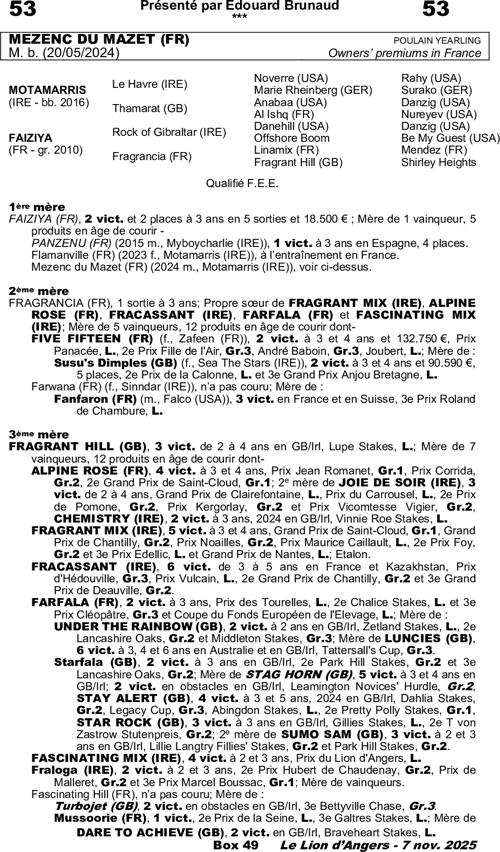 Miniature pedigree