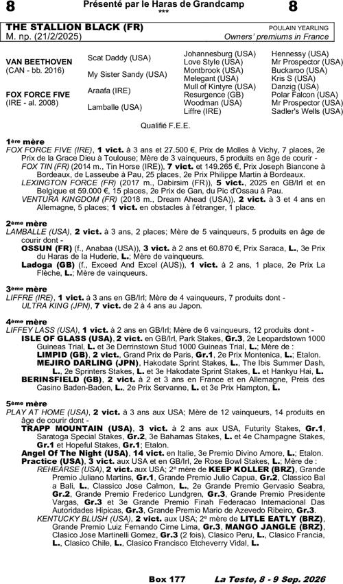 Miniature pedigree