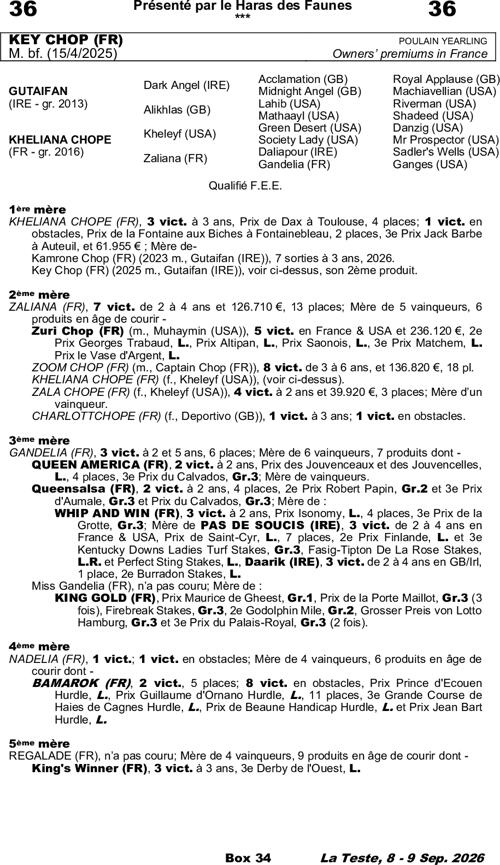 Miniature pedigree