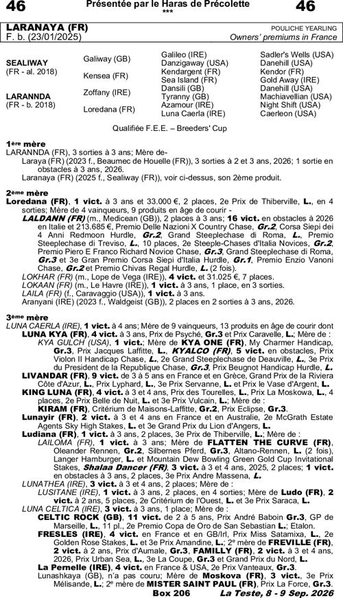 Miniature pedigree