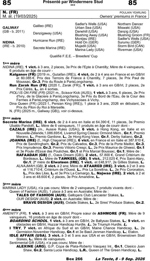Miniature pedigree