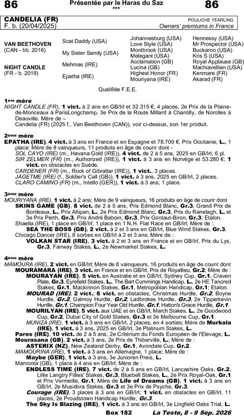 Miniature pedigree
