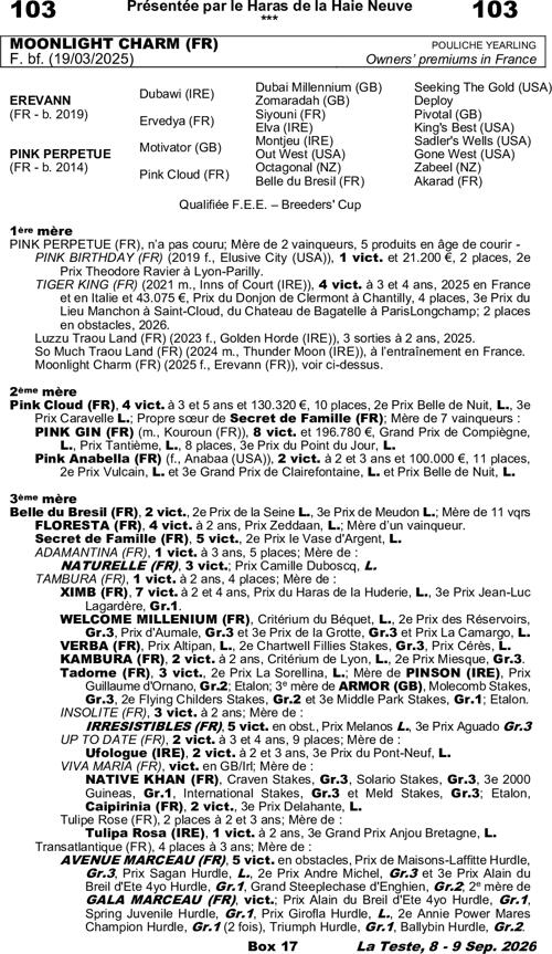 Miniature pedigree