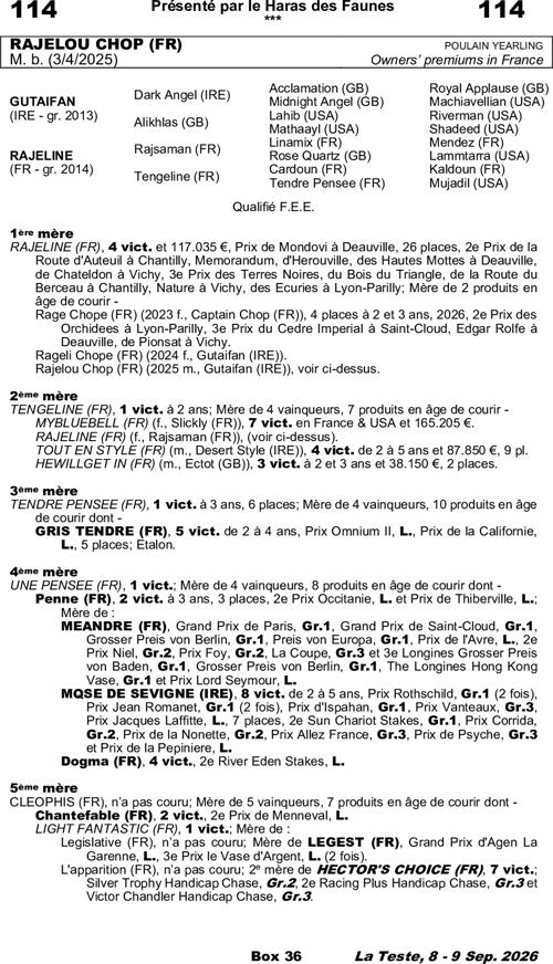 Miniature pedigree