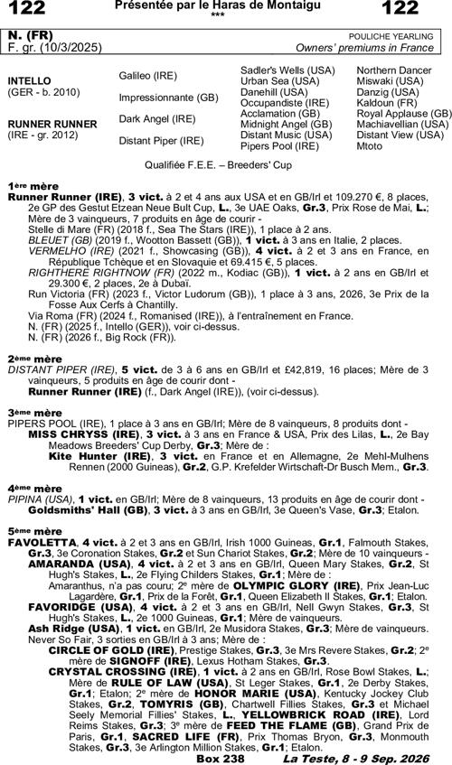 Miniature pedigree