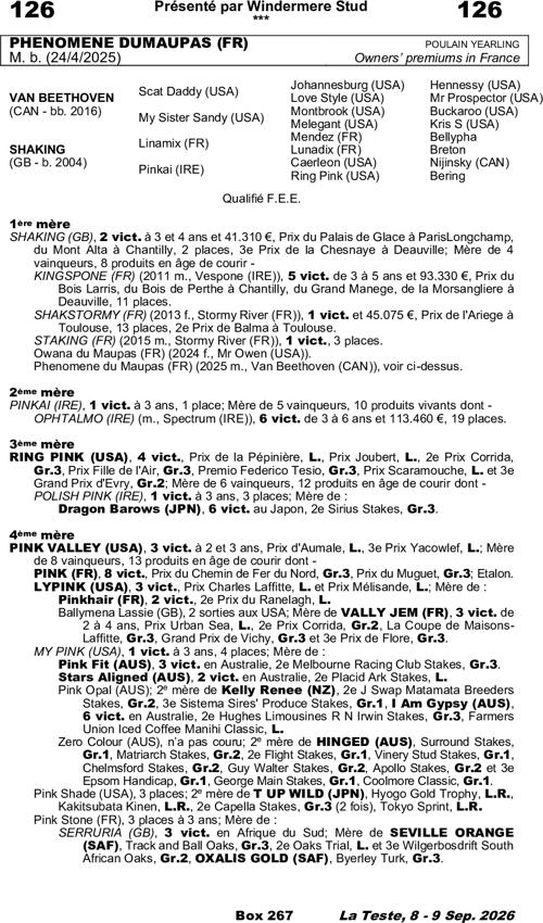 Miniature pedigree