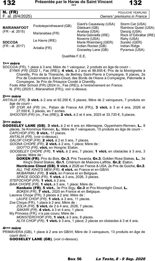 Miniature pedigree