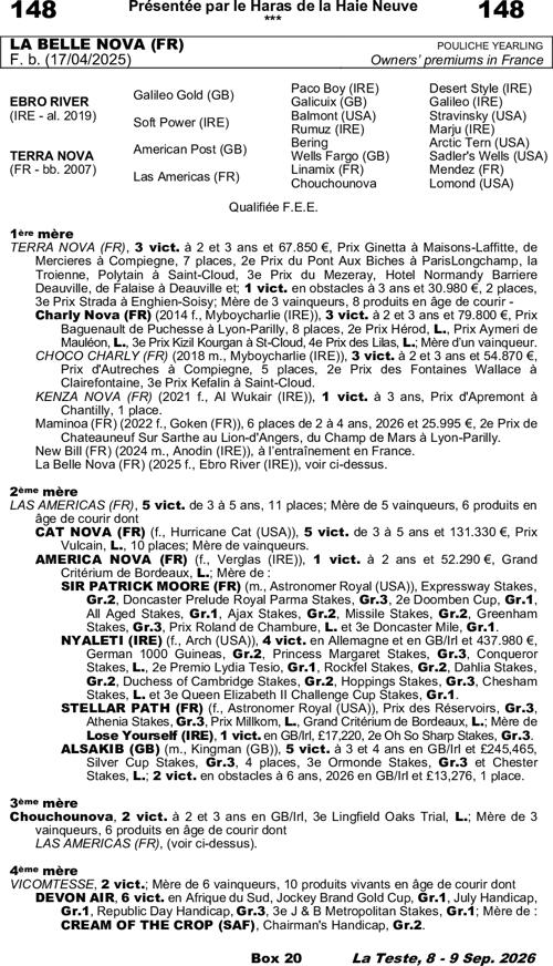 Miniature pedigree