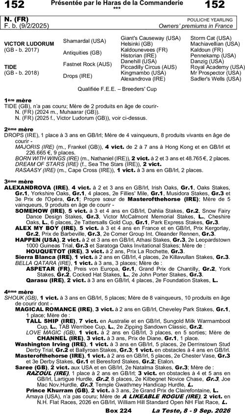 Miniature pedigree