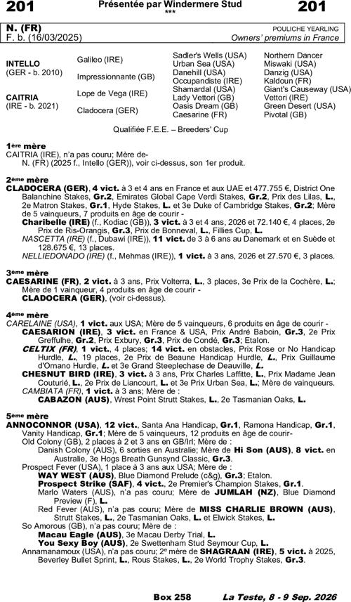 Miniature pedigree
