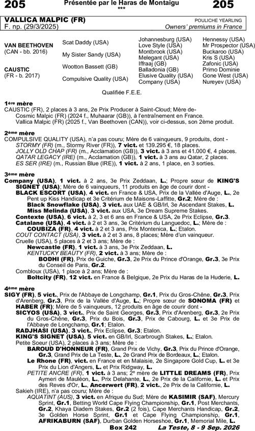 Miniature pedigree