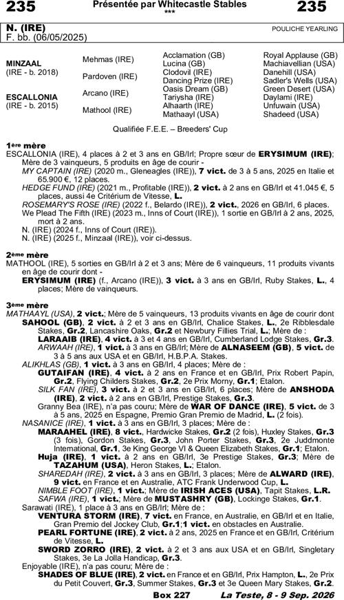 Miniature pedigree