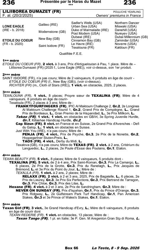 Miniature pedigree