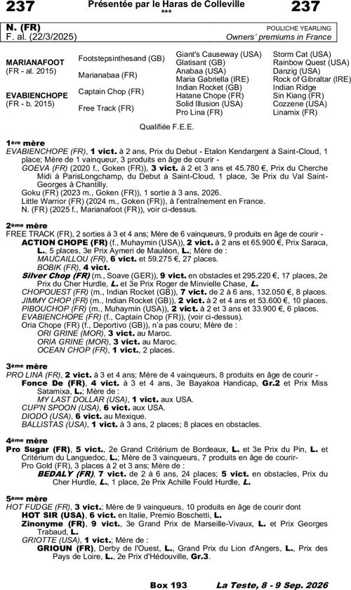 Miniature pedigree