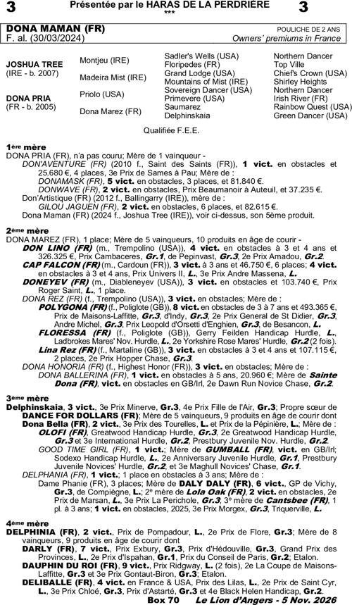 Miniature pedigree