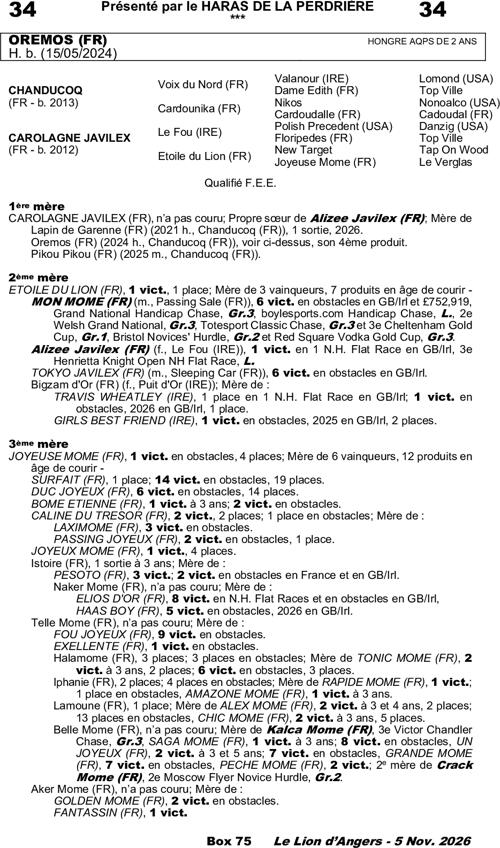 Miniature pedigree